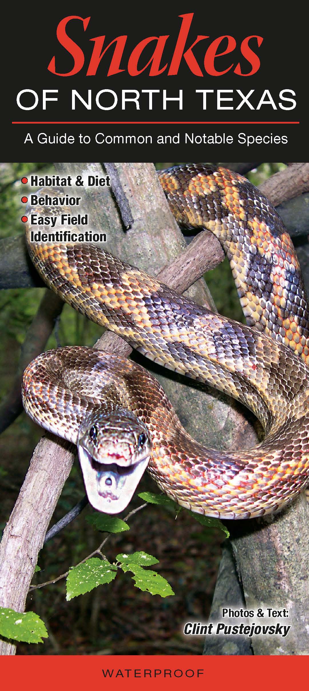 Snakes – Quick Reference Publishing1081 x 2416