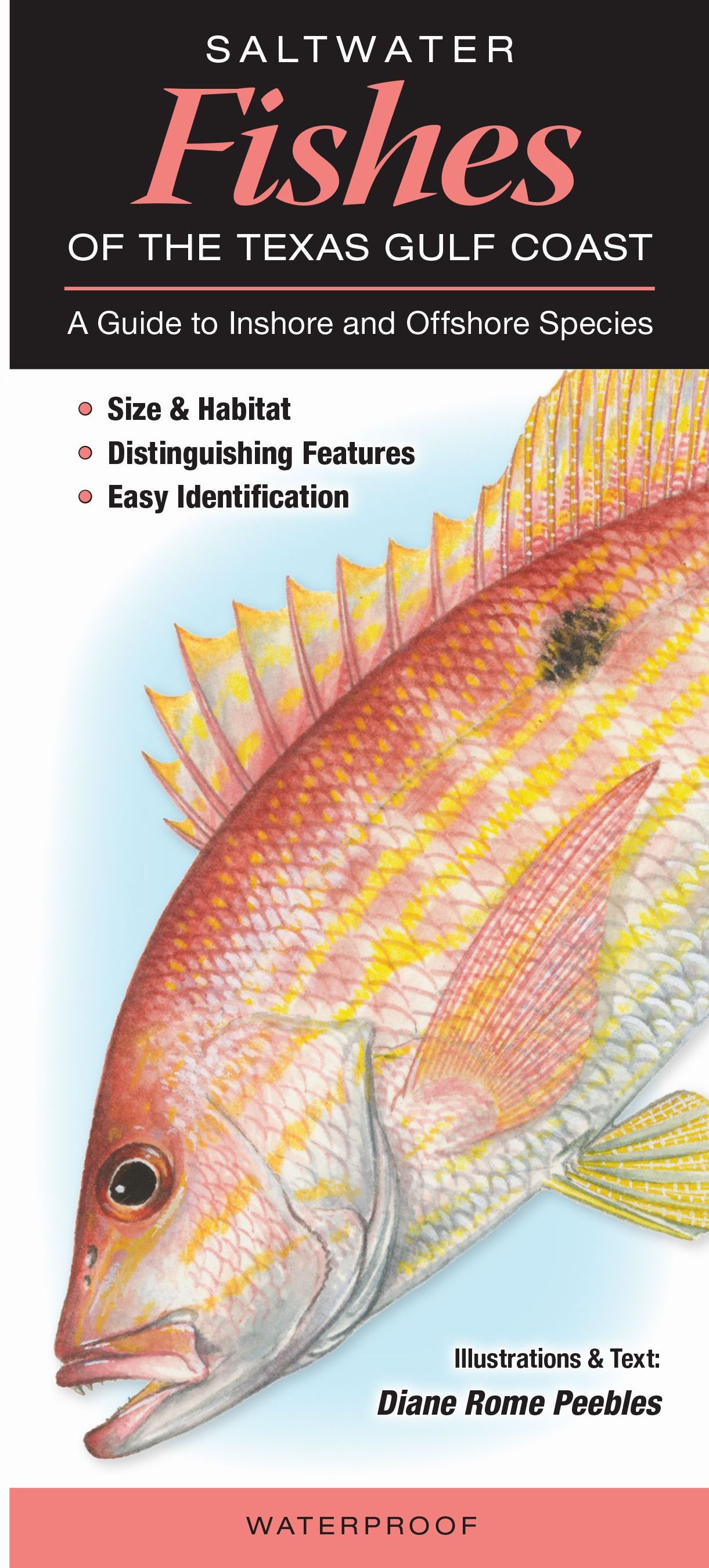 Florida Gulf Coast Fish Identification Chart