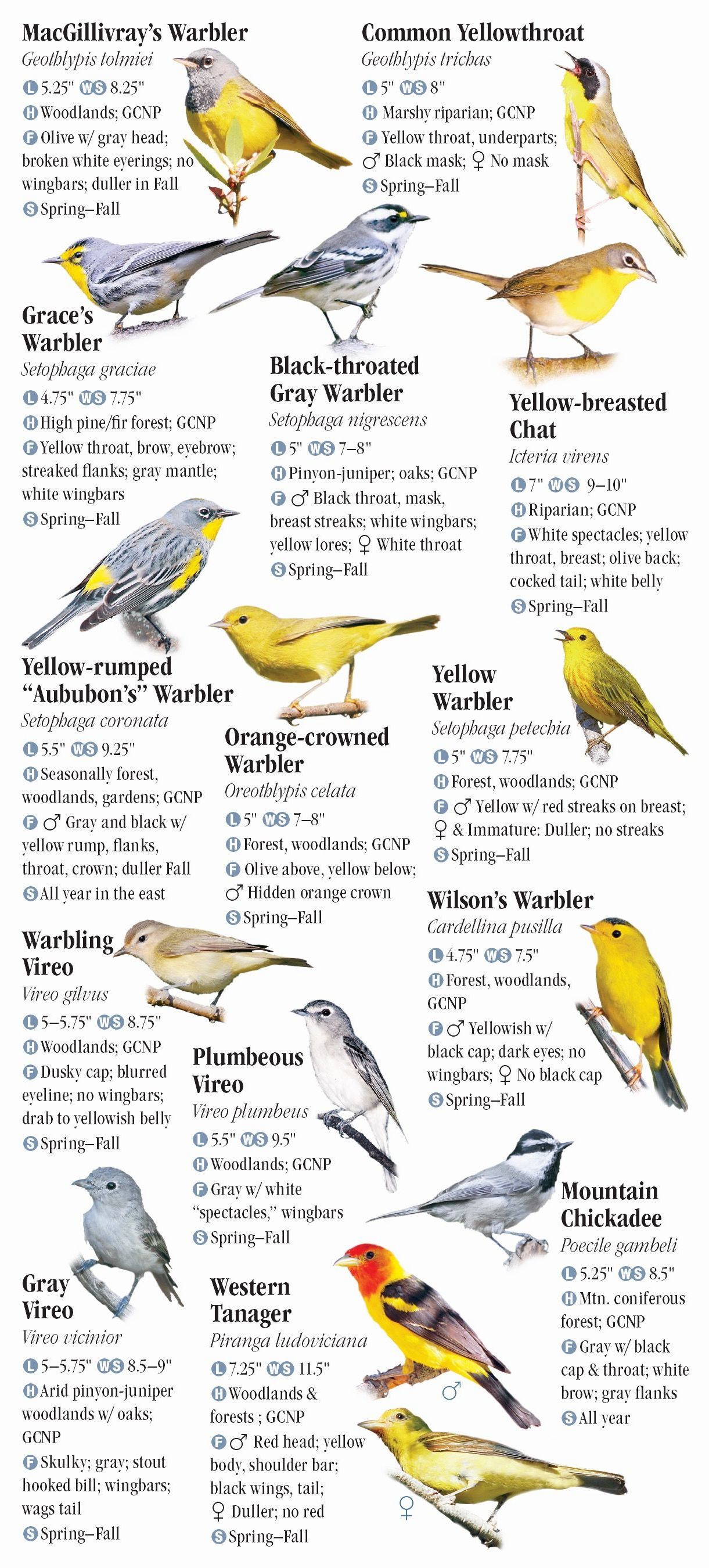 Arizona Bird Checklist Printable