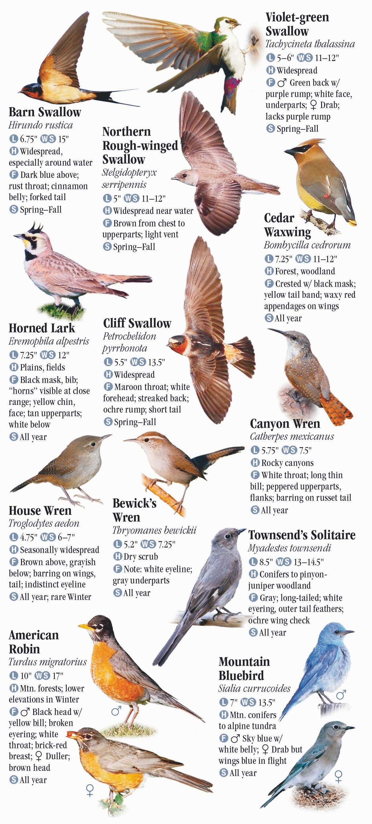 Birds Of Utah Quick Reference Publishing