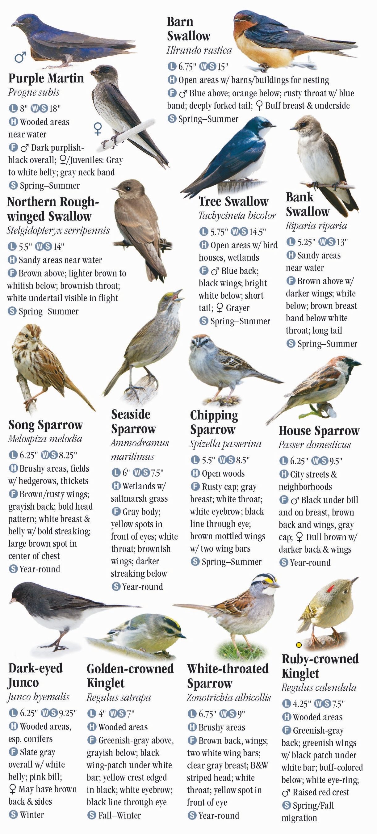 Birds Of New York City Including Central Park And Long Island Quick Reference Publishing,Korean Toasted Sesame Seeds