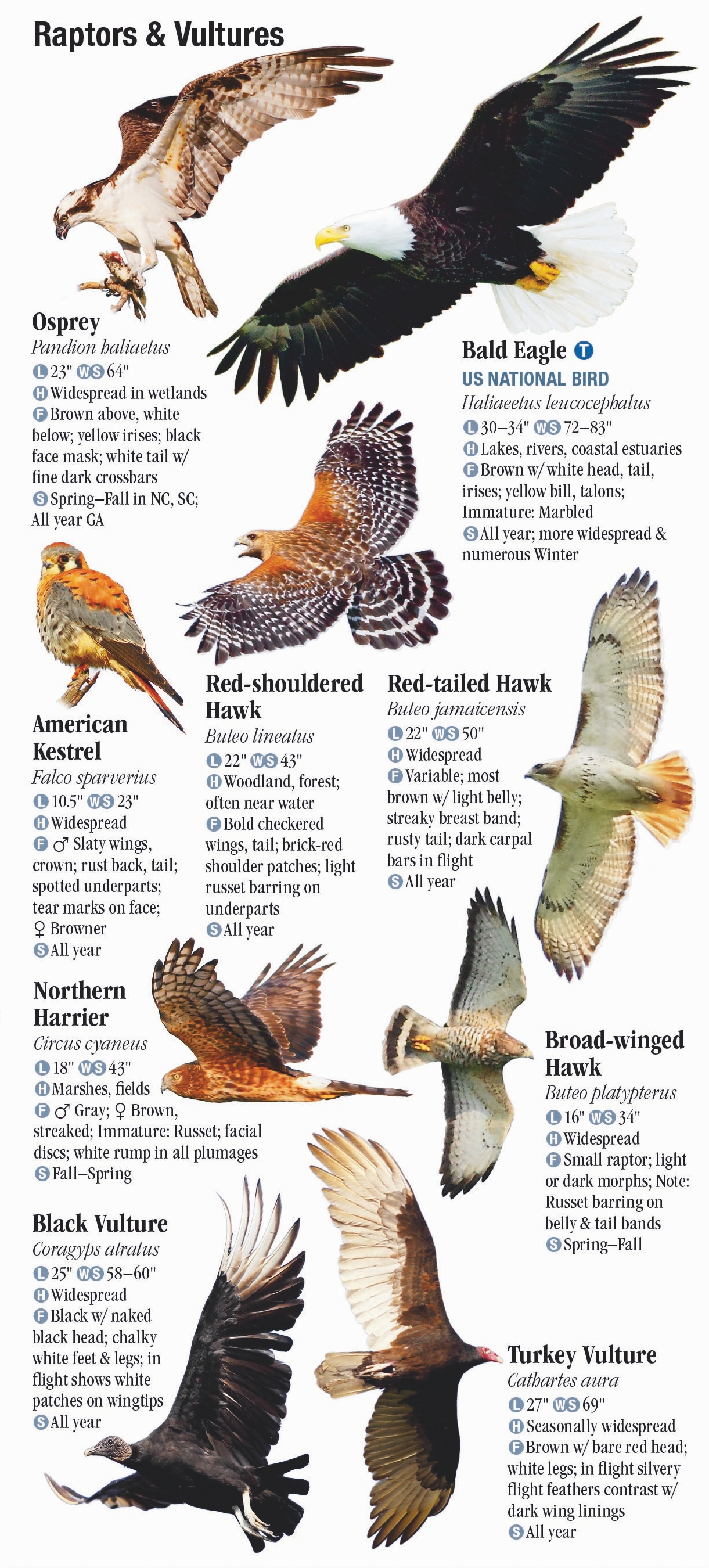 Birds of North Carolina, South Carolina and
