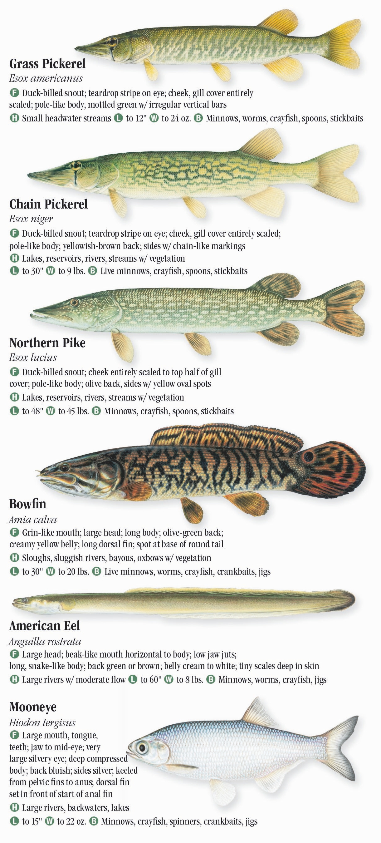 Freshwater Fishes of Oklahoma – Quick Reference Publishing Retail