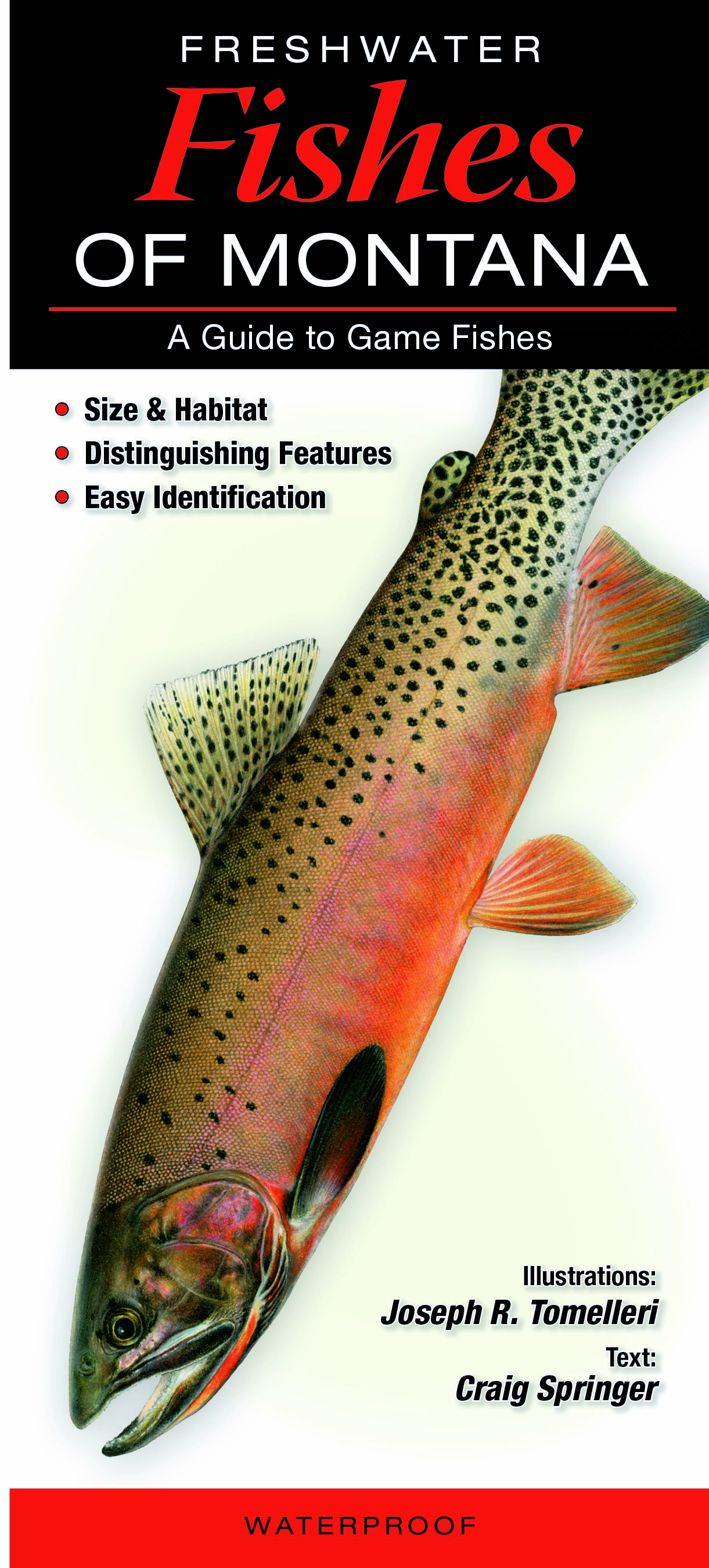 Freshwater Fishes of Montana – Quick Reference Publishing Retail